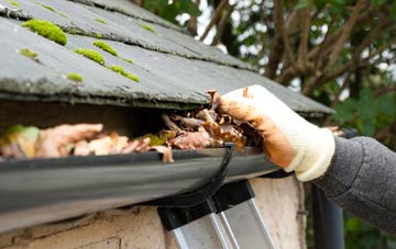 gutter cleaning Whithaugh, Scottish Borders