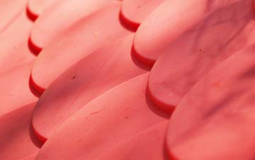 Whithaugh plastic roof costs